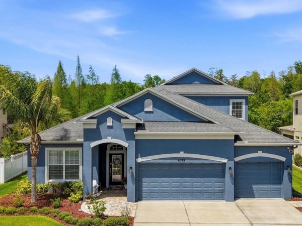 4079 WINDCREST DRIVE, WESLEY CHAPEL, FL 33544