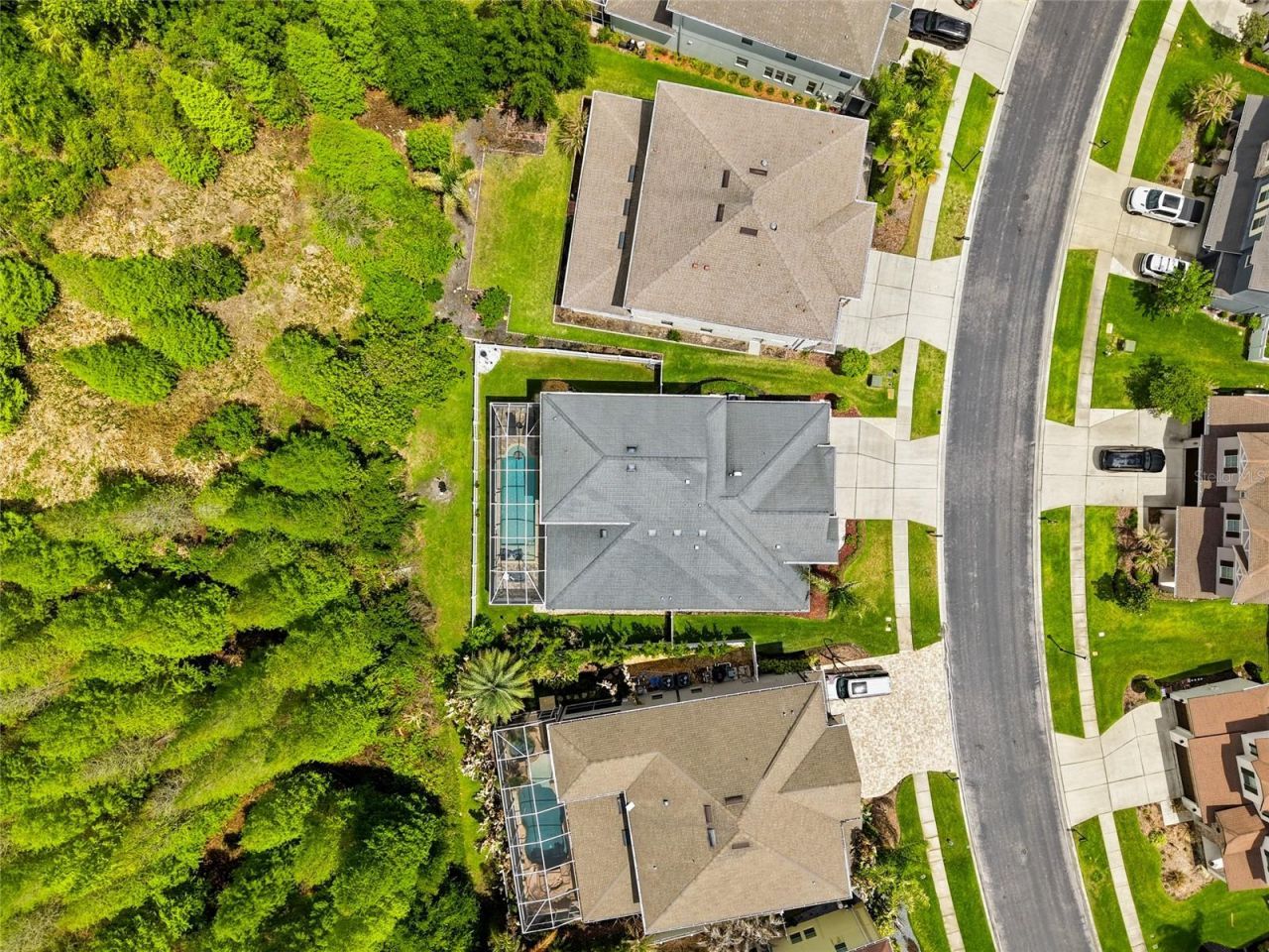 4079 Windcrest Drive , Wesley Chapel, FL 33544 Photo