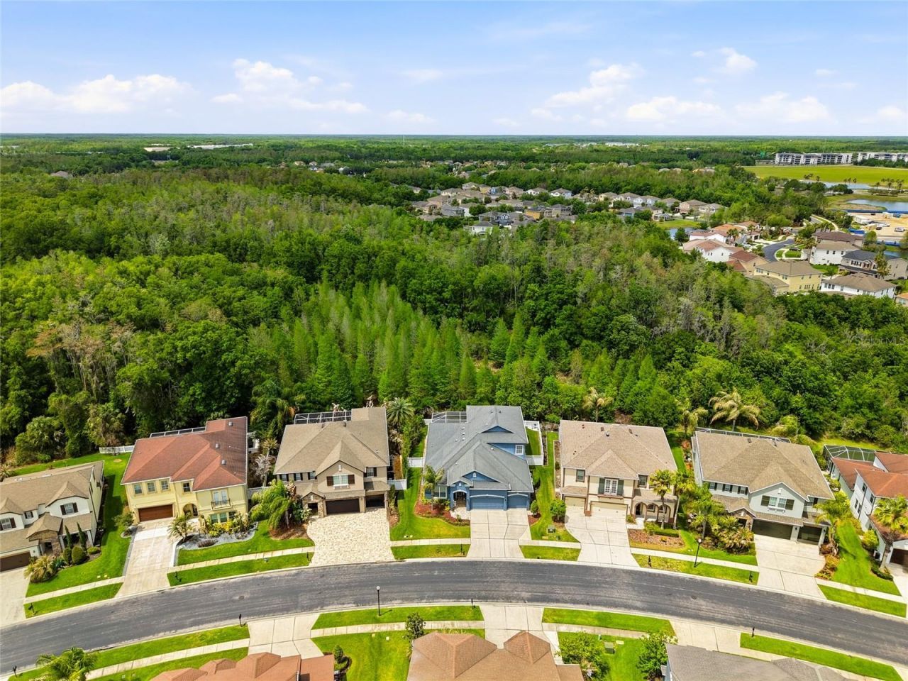 4079 Windcrest Drive , Wesley Chapel, FL 33544 Photo