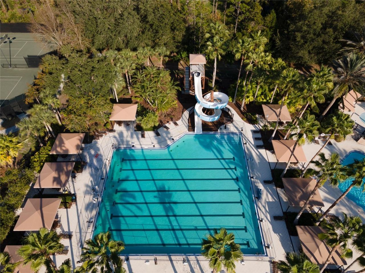 4079 Windcrest Drive , Wesley Chapel, FL 33544 Photo