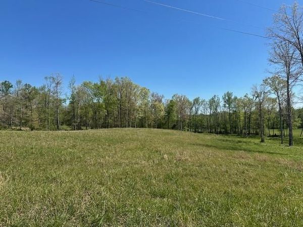 00 PEAR BLOSSOM LN, Adamsville, TN 38310