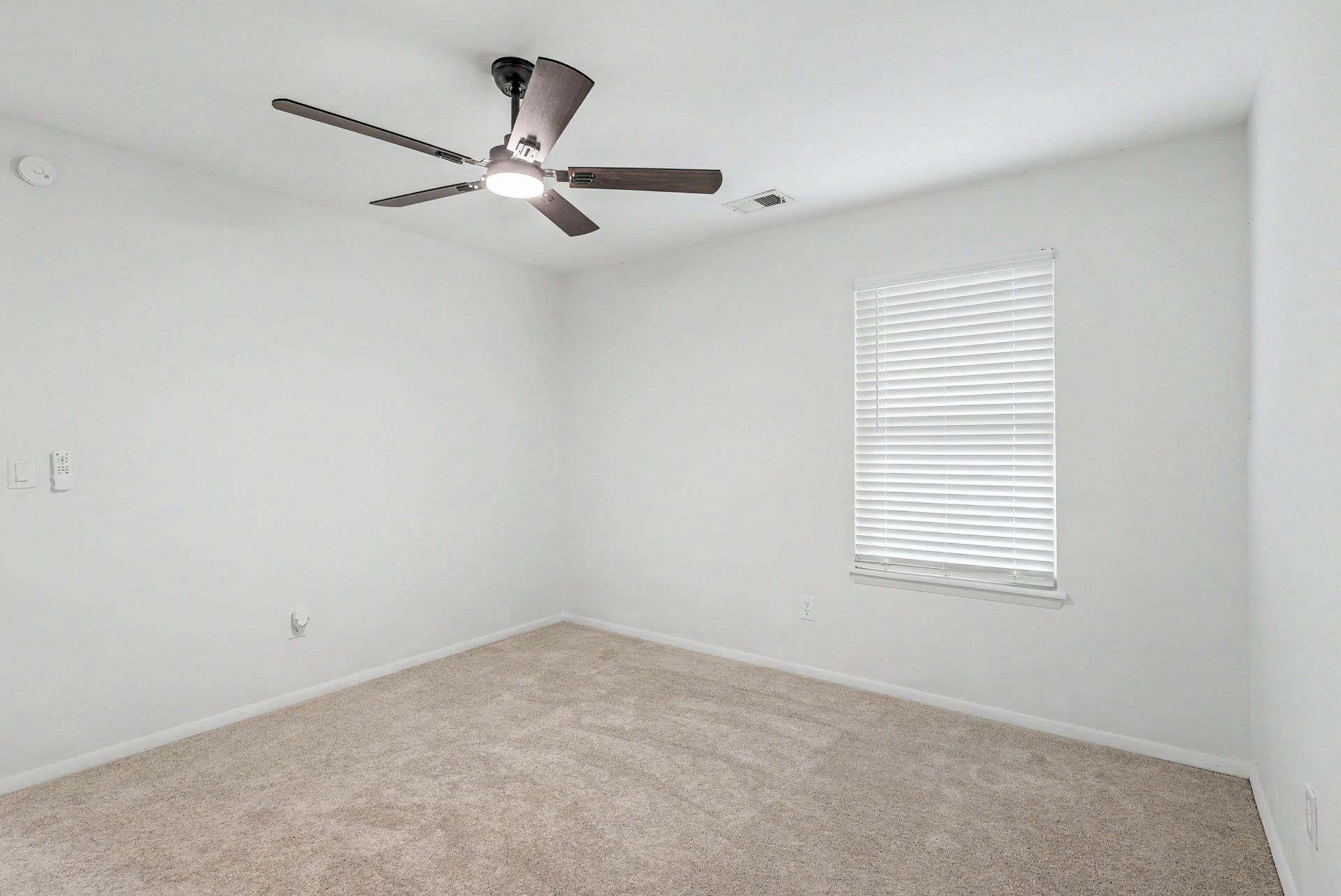 104 Tweed Court Photo 15