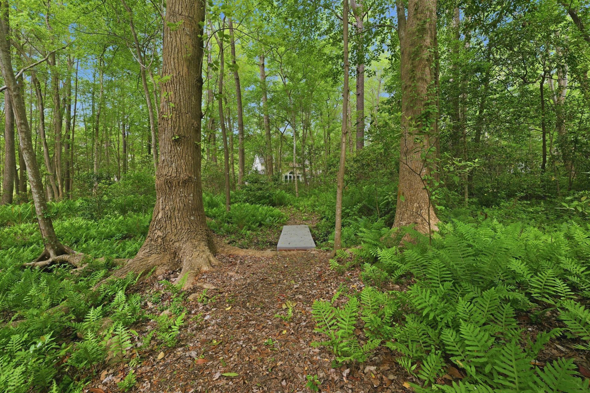 141 Beaverton Court Photo 36