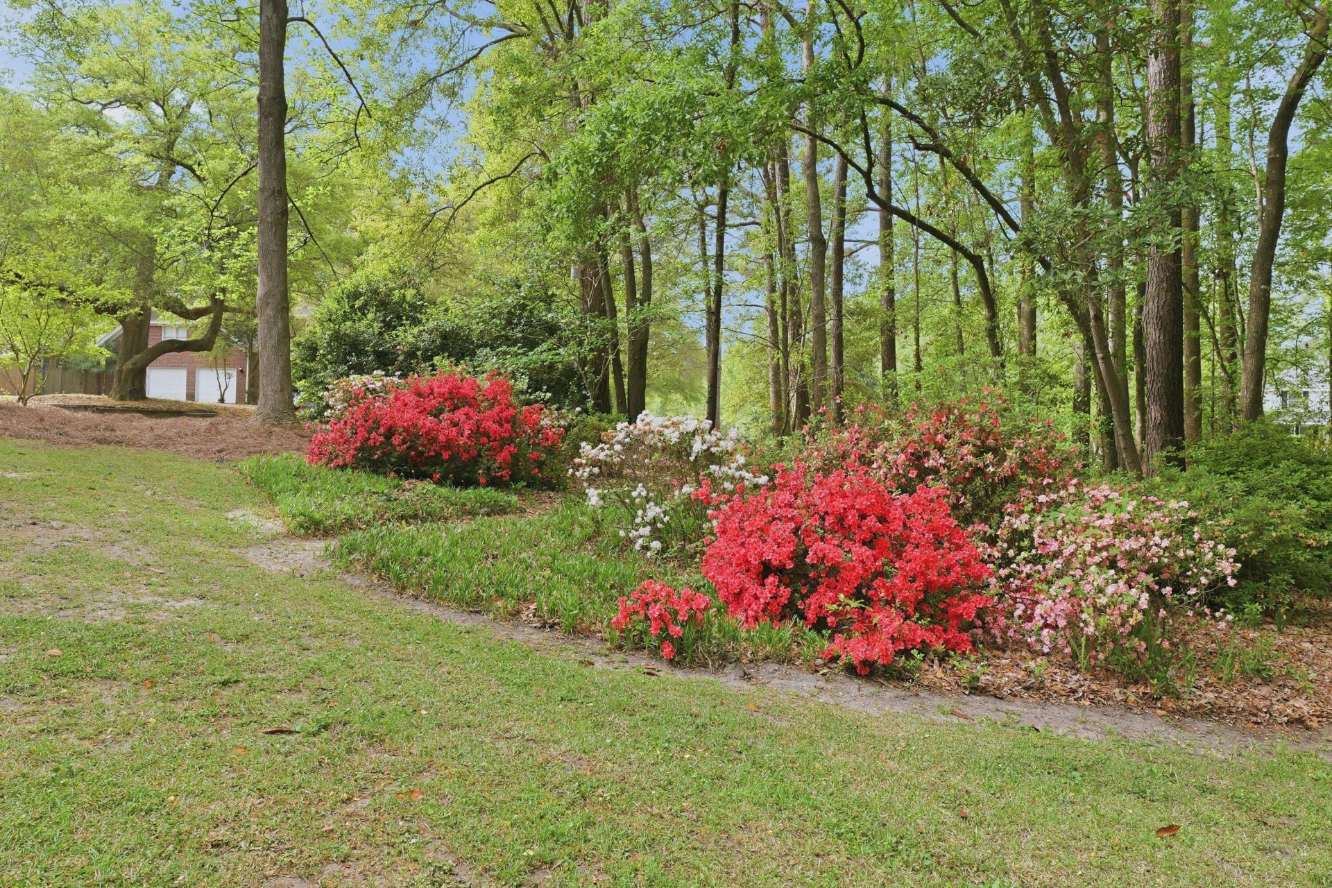 141 Beaverton Court Photo 39