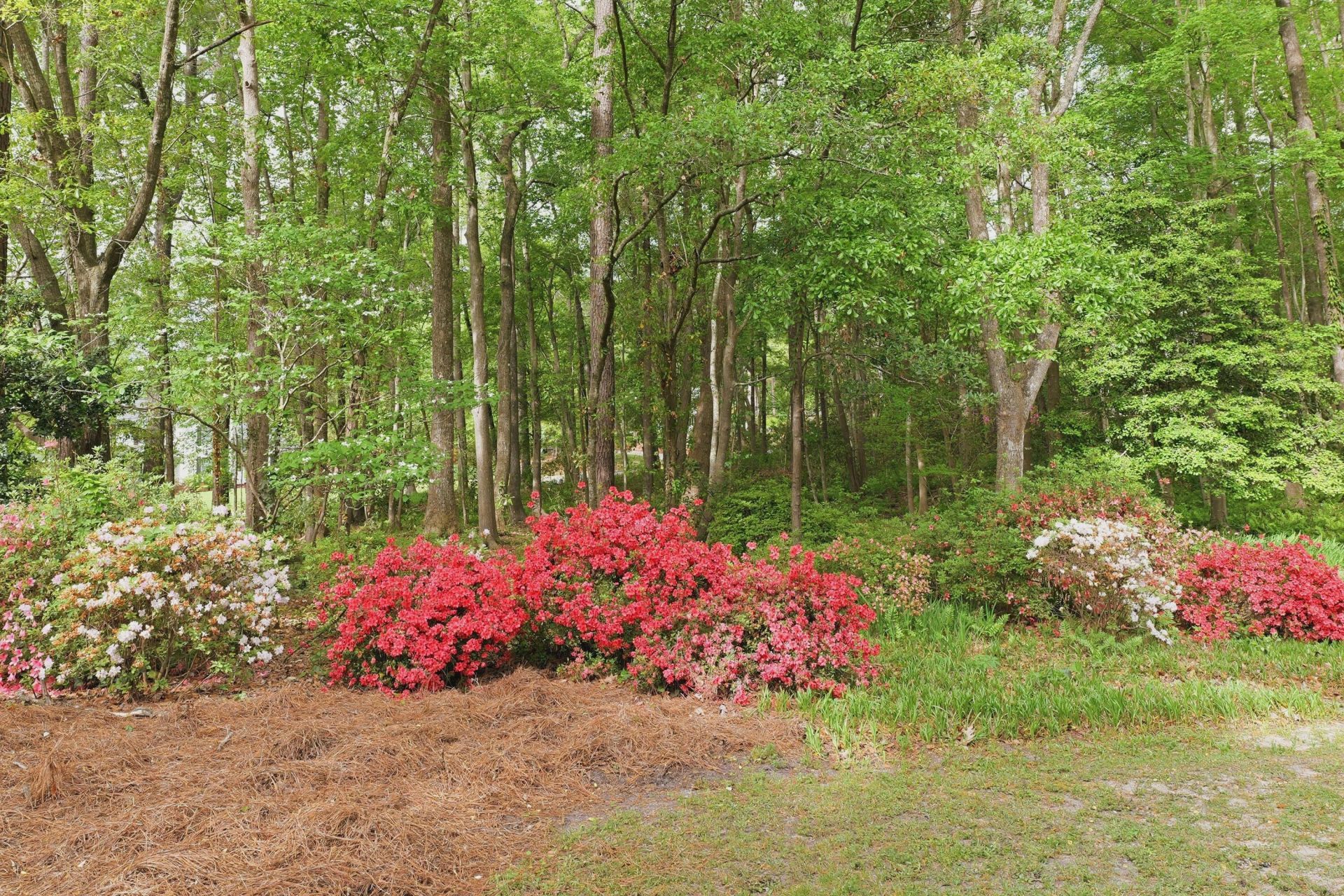 141 Beaverton Court Photo 40