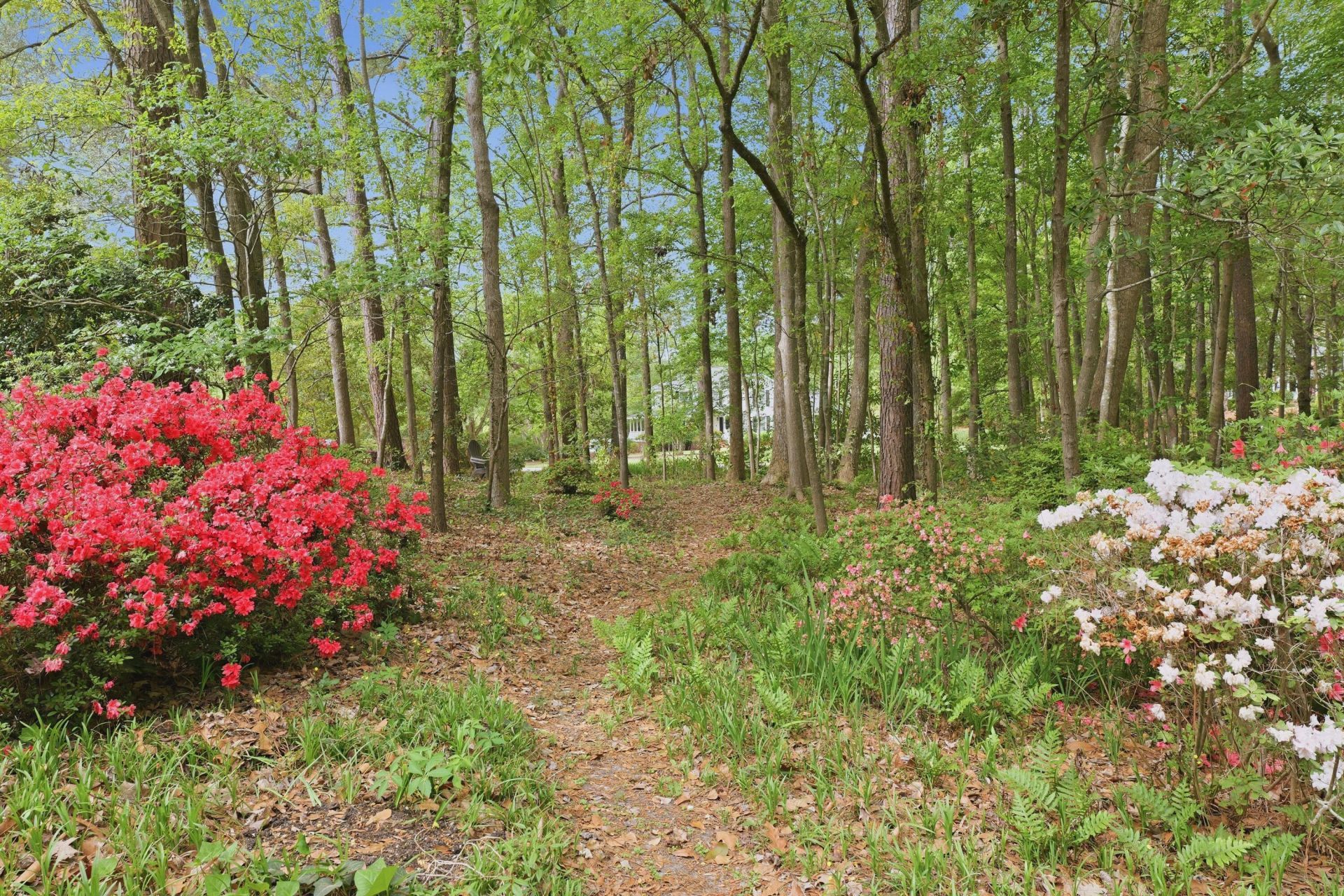 141 Beaverton Court Photo 41