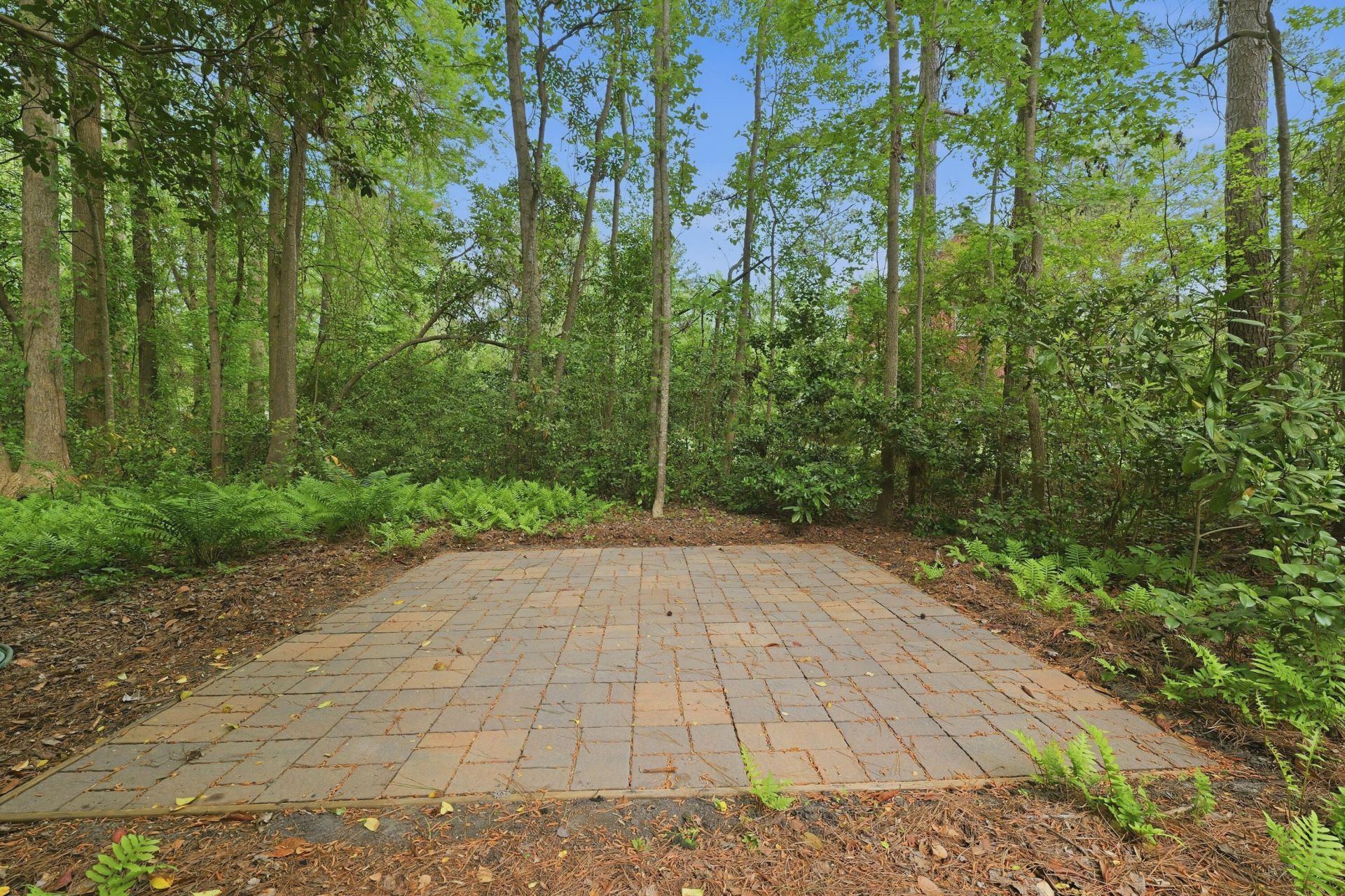 141 Beaverton Court Photo 42