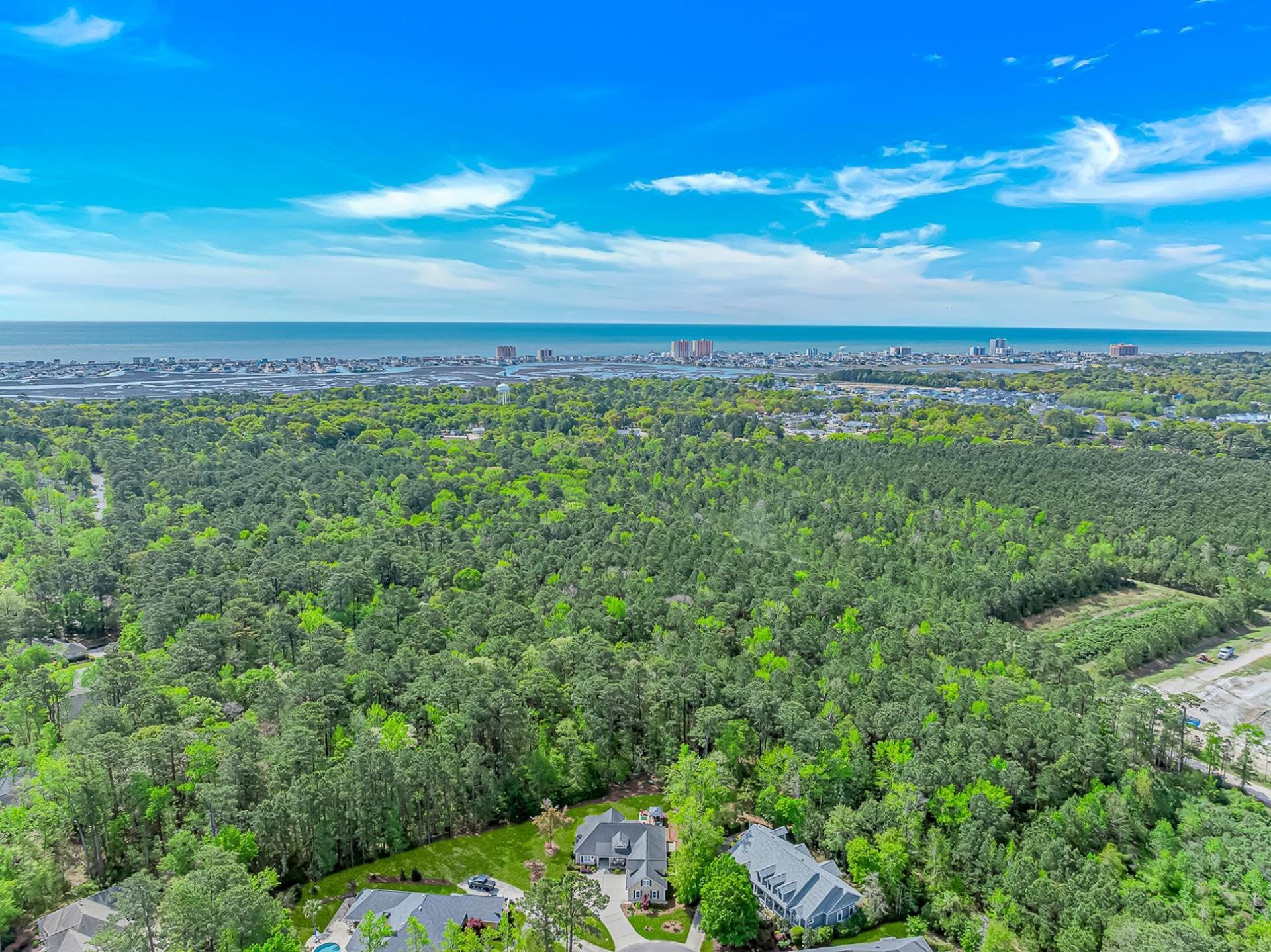 1310 Lighthouse Dr. Photo 38