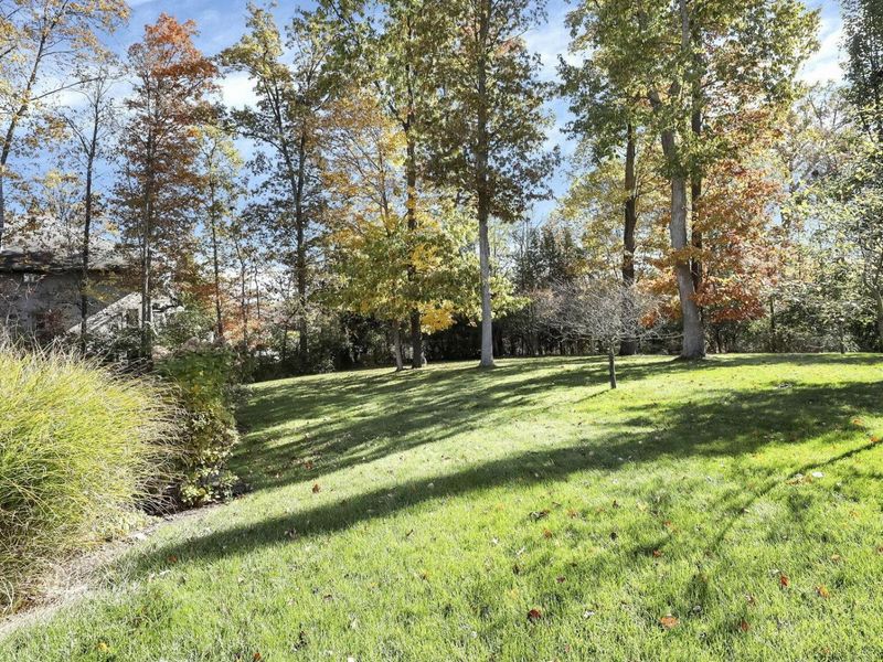 1551 Riverwood Lane, Powell, OH 43065 Photo 70