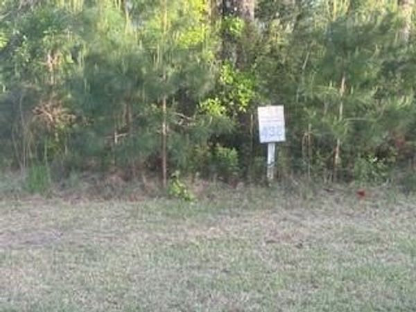 0 Seine River Court, Kingsland, GA 31548