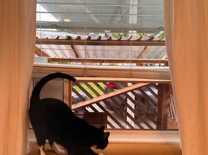 902 Del Paso Blvd #61, Sacramento, CA 95815 Photo