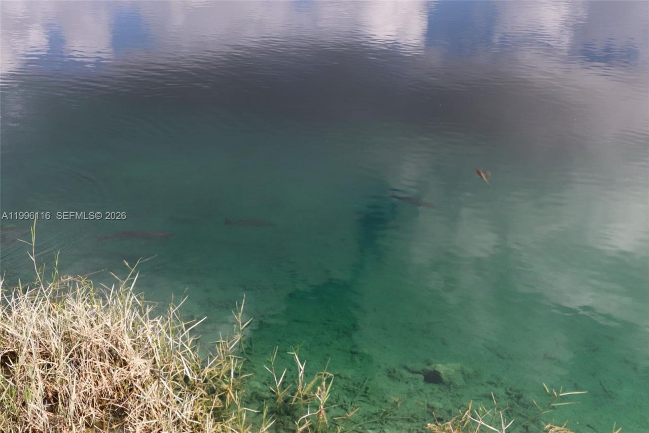 18901 SW 63rd St , Southwest Ranches, FL 33332 Photo