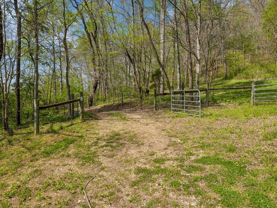 Property Image 31