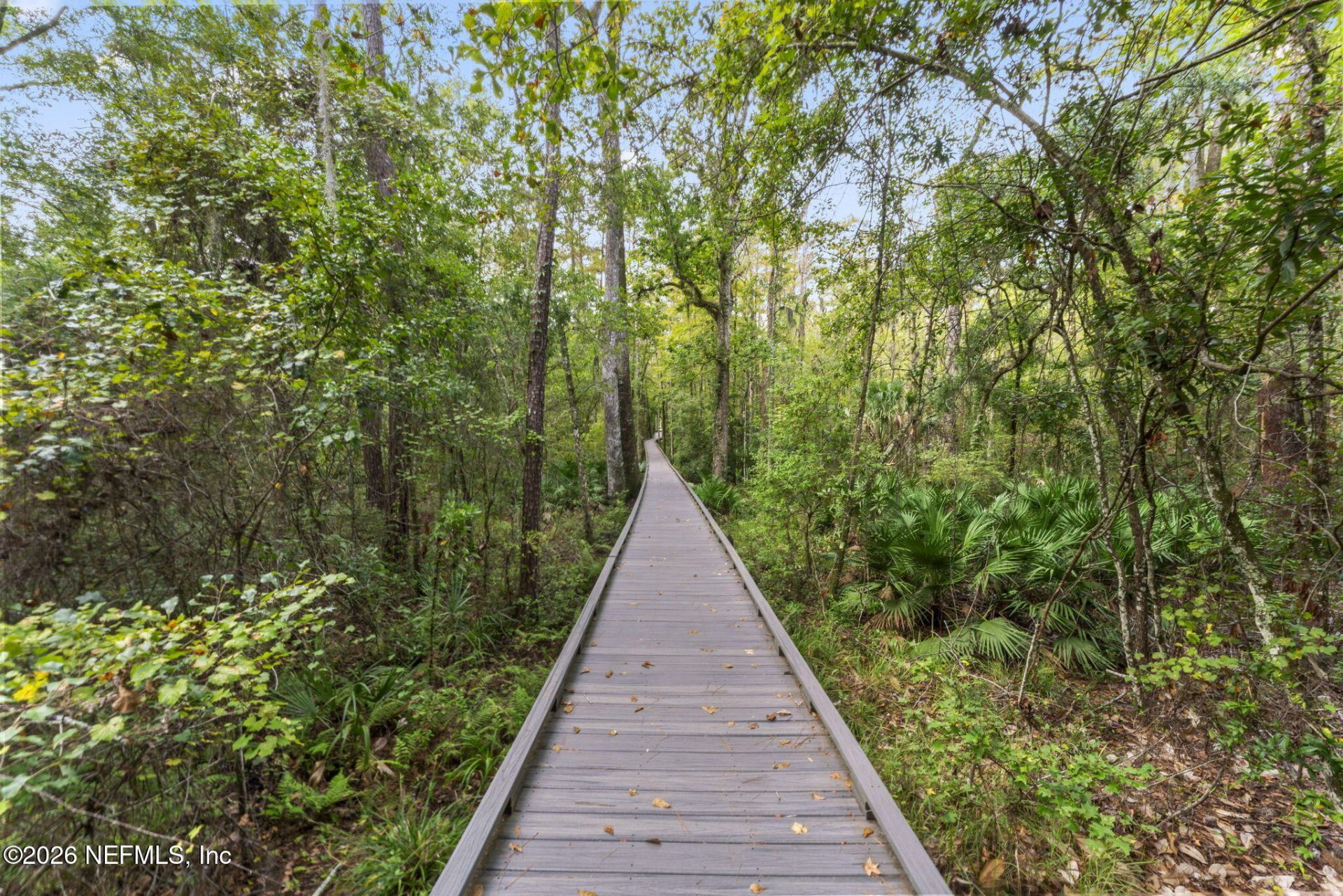 2659 Country Side Drive, Fleming Island, FL 32003 Photo