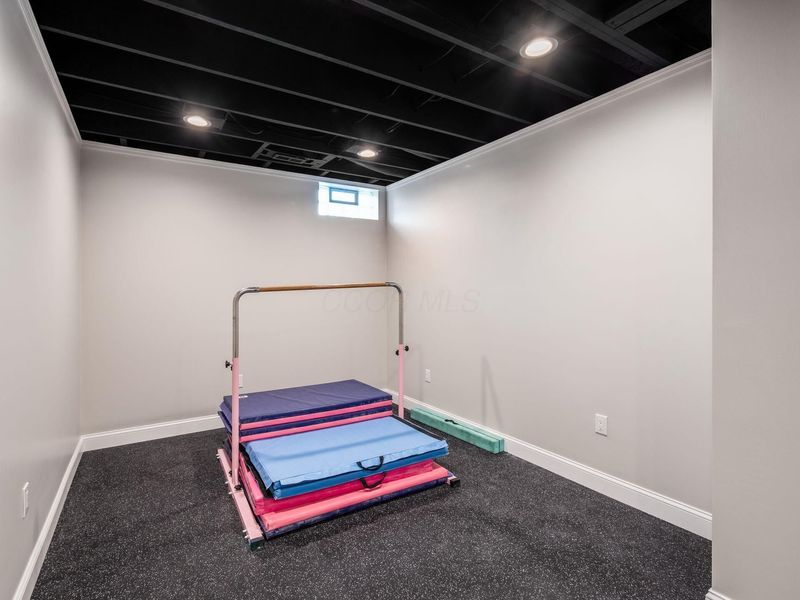 357 Tipperary Loop, Delaware, OH 43015 Photo 52