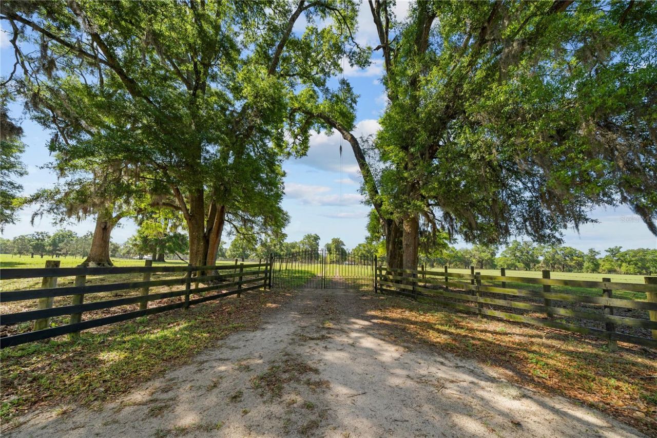 4639 SW Wilson Springs Road, Fort White, FL 32038 Photo