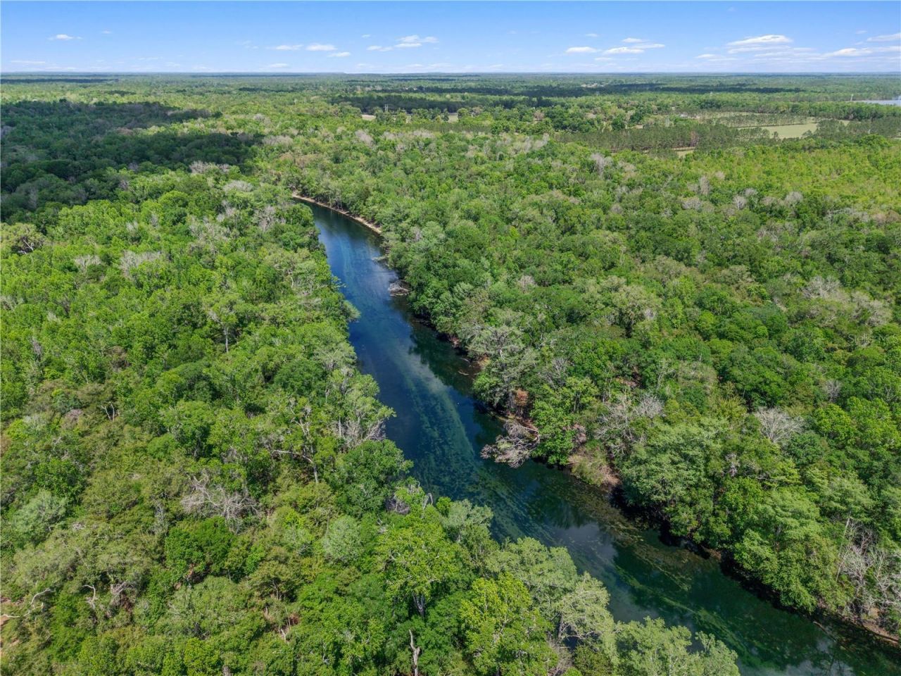 4639 SW Wilson Springs Road, Fort White, FL 32038 Photo