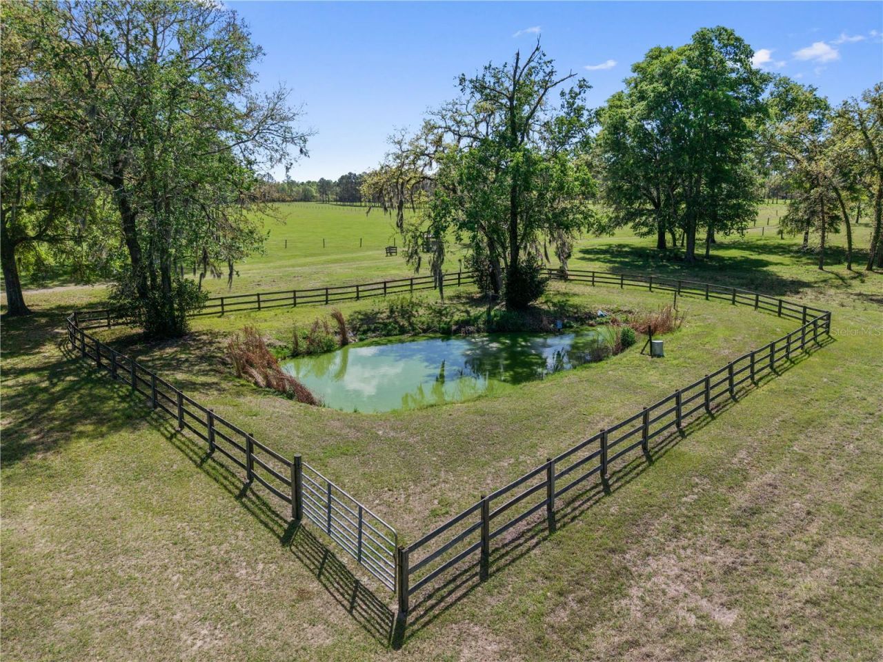 4639 SW Wilson Springs Road, Fort White, FL 32038 Photo