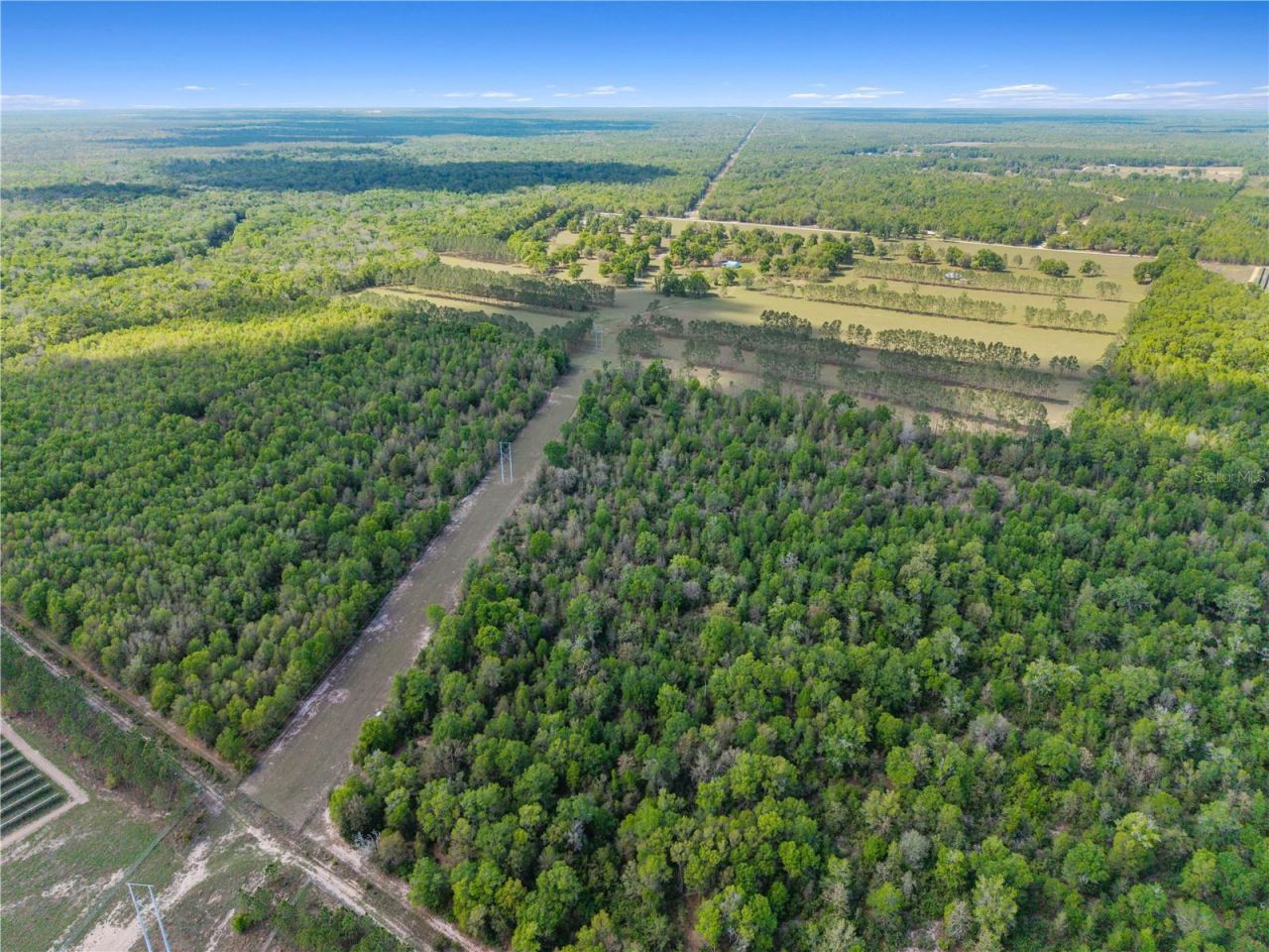 4639 SW Wilson Springs Road, Fort White, FL 32038 Photo