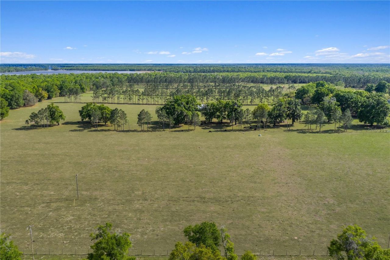 4639 SW Wilson Springs Road, Fort White, FL 32038 Photo