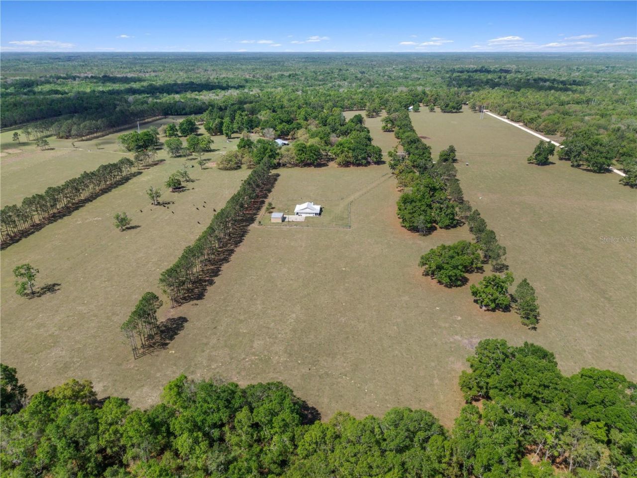 4639 SW Wilson Springs Road, Fort White, FL 32038 Photo