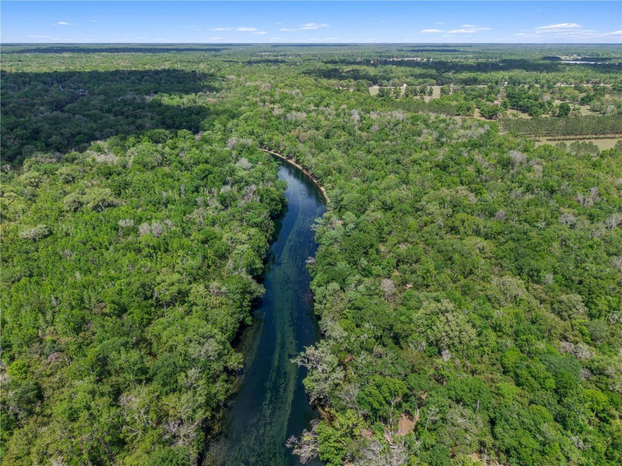 4639 SW Wilson Springs Road, Fort White, FL 32038 Photo