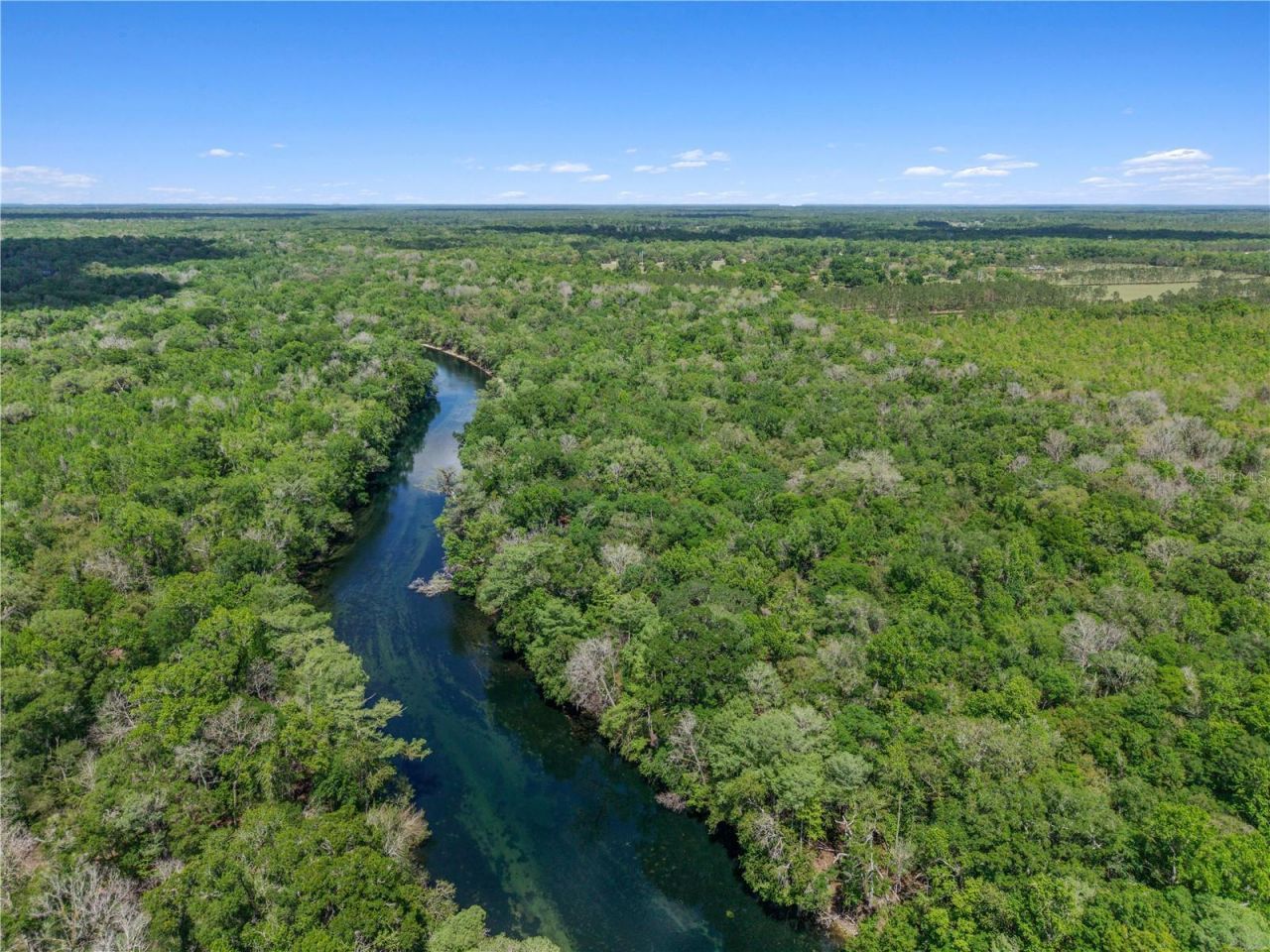 4639 SW Wilson Springs Road, Fort White, FL 32038 Photo