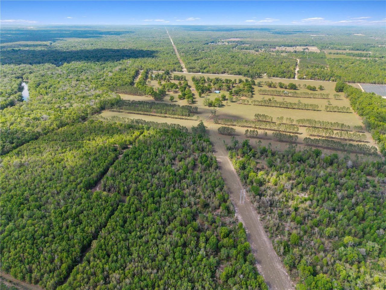 4639 SW Wilson Springs Road, Fort White, FL 32038 Photo