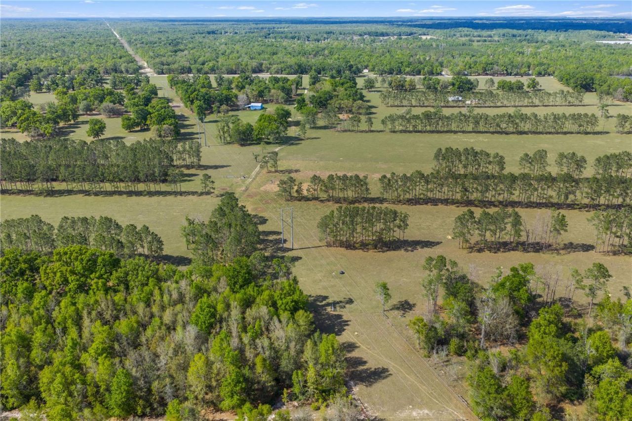 4639 SW Wilson Springs Road, Fort White, FL 32038 Photo