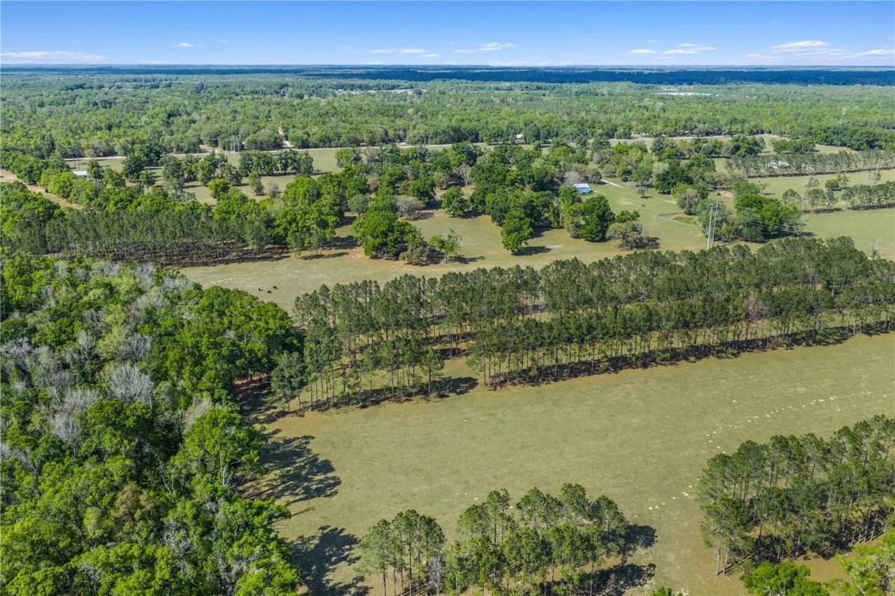 4639 SW Wilson Springs Road, Fort White, FL 32038 Photo