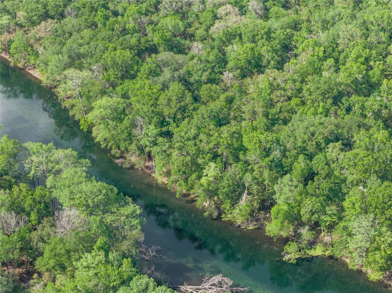 4639 SW Wilson Springs Road, Fort White, FL 32038 Photo