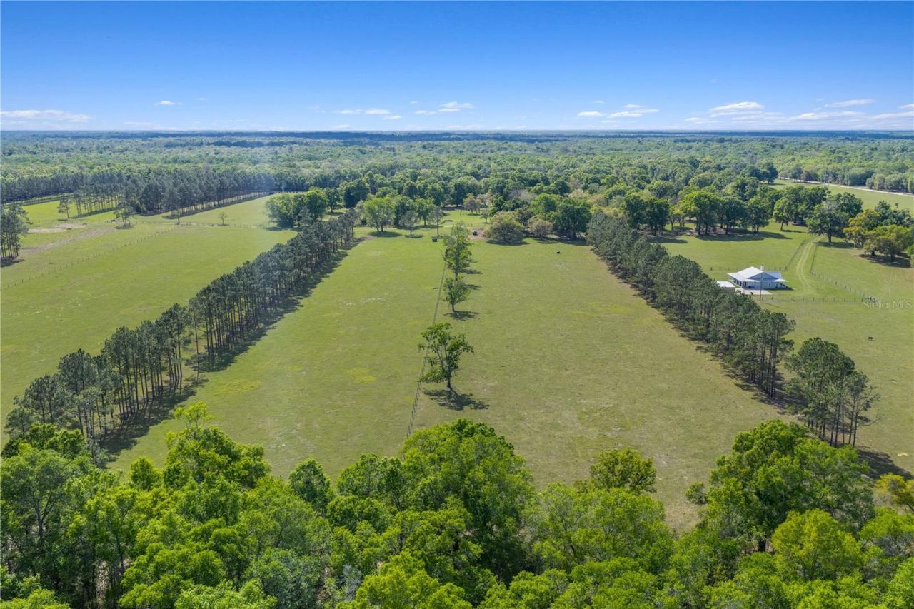 4639 SW Wilson Springs Road, Fort White, FL 32038 Photo