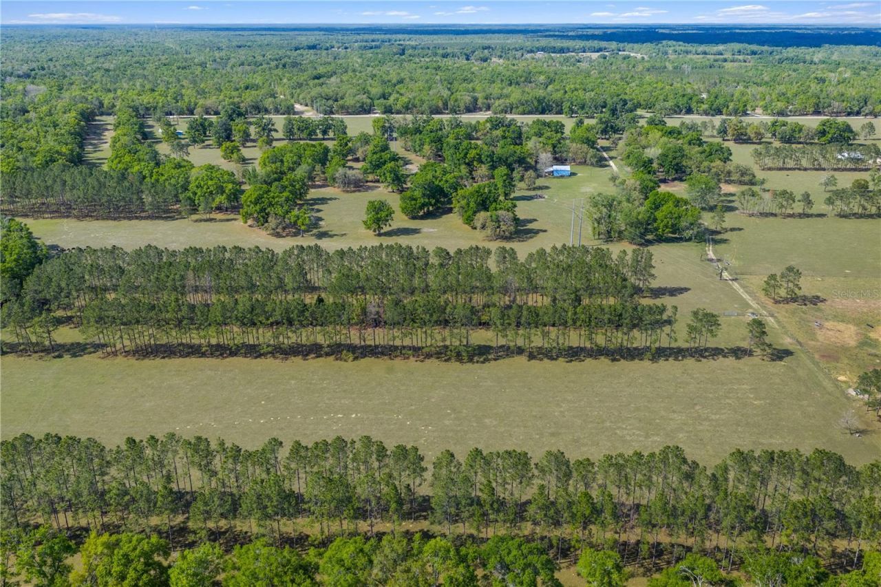 4639 SW Wilson Springs Road, Fort White, FL 32038 Photo