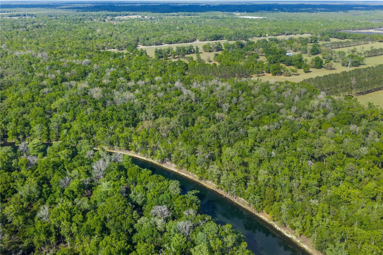 4639 SW Wilson Springs Road, Fort White, FL 32038 Photo