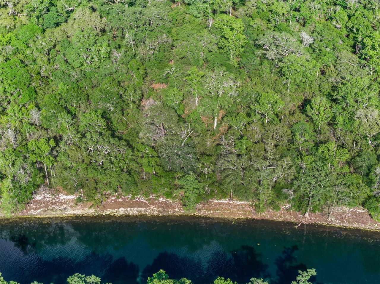 4639 SW Wilson Springs Road, Fort White, FL 32038 Photo