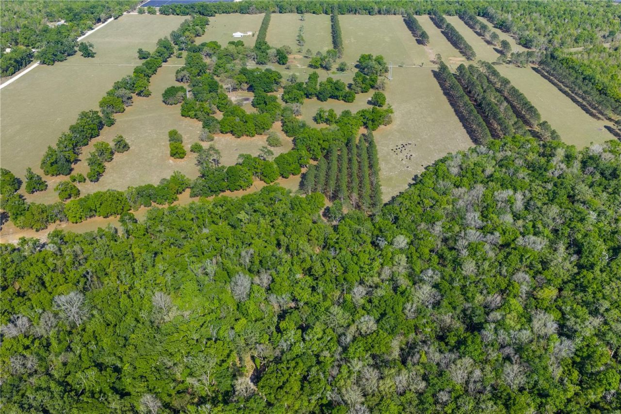 4639 SW Wilson Springs Road, Fort White, FL 32038 Photo