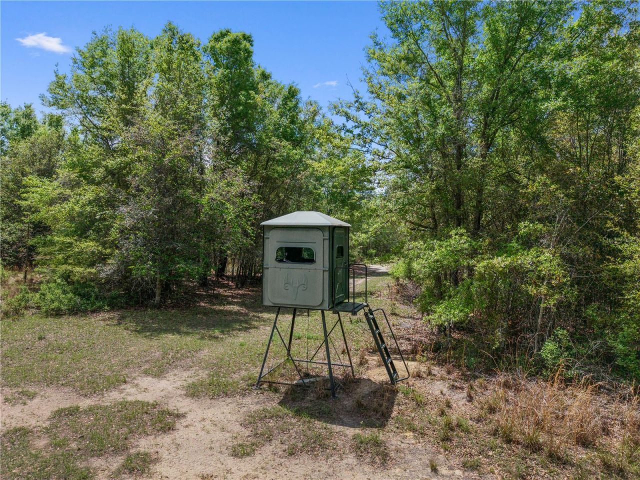 4639 SW Wilson Springs Road, Fort White, FL 32038 Photo