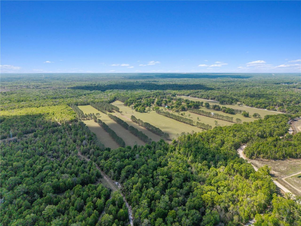 4639 SW Wilson Springs Road, Fort White, FL 32038 Photo