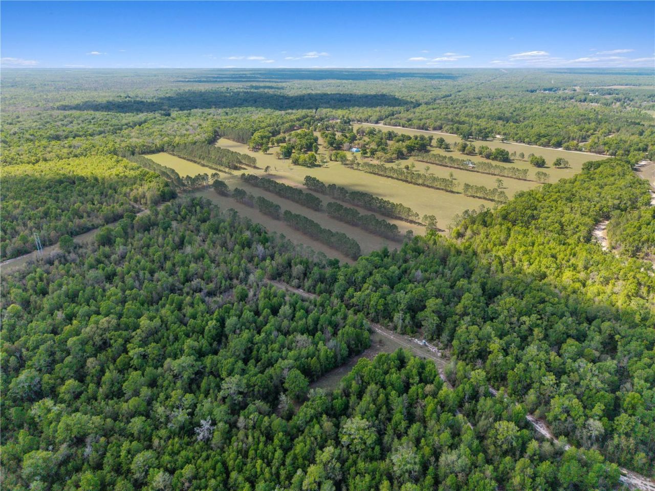 4639 SW Wilson Springs Road, Fort White, FL 32038 Photo