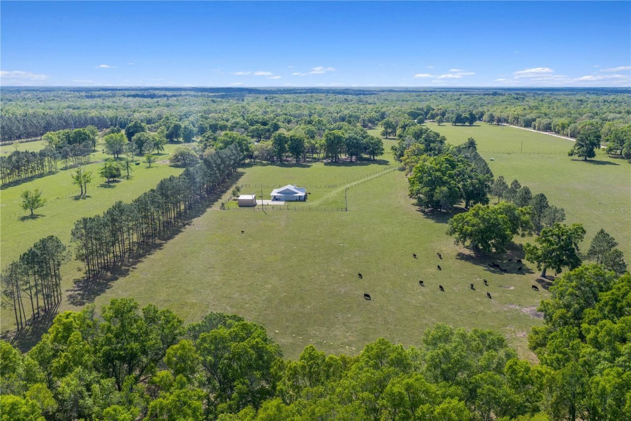 4639 SW Wilson Springs Road, Fort White, FL 32038 Photo