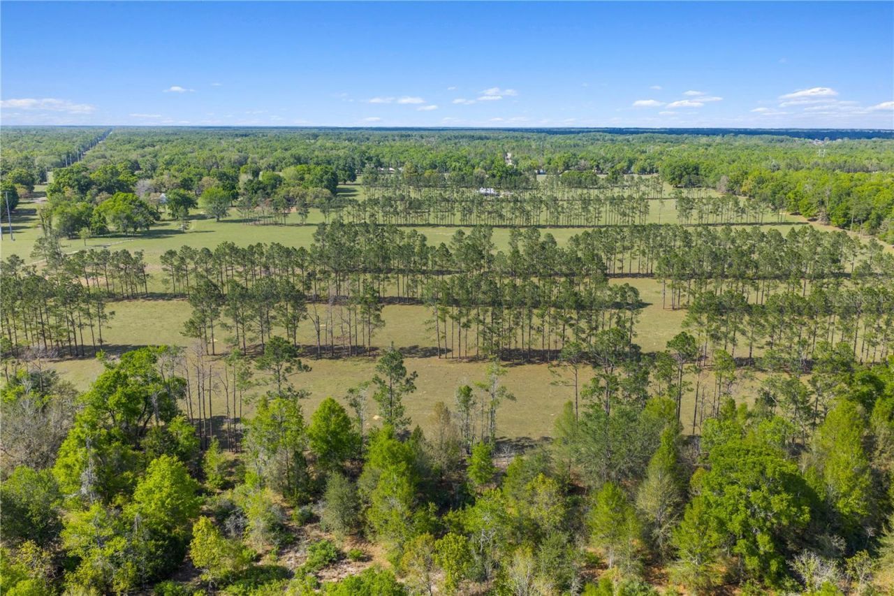 4639 SW Wilson Springs Road, Fort White, FL 32038 Photo