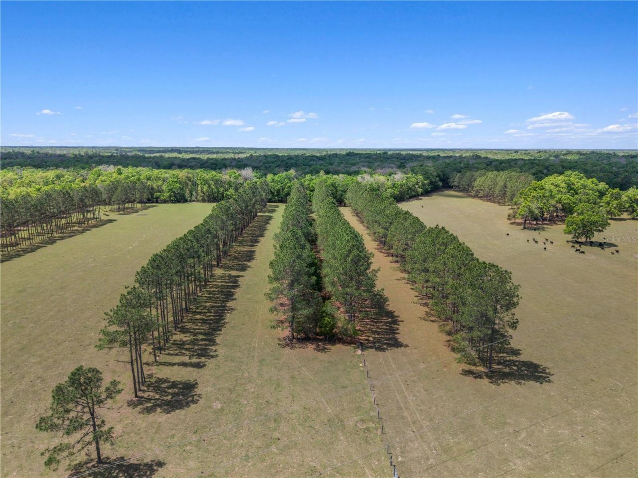 4639 SW Wilson Springs Road, Fort White, FL 32038 Photo