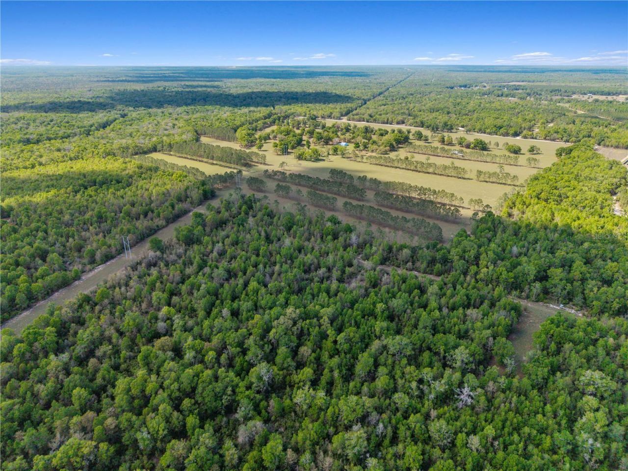 4639 SW Wilson Springs Road, Fort White, FL 32038 Photo