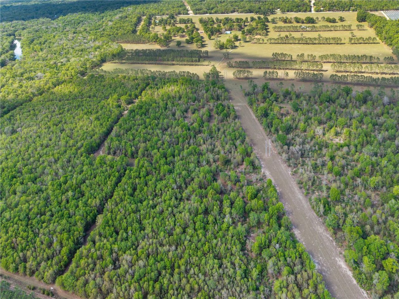 4639 SW Wilson Springs Road, Fort White, FL 32038 Photo