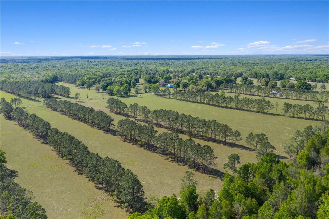 4639 SW Wilson Springs Road, Fort White, FL 32038 Photo