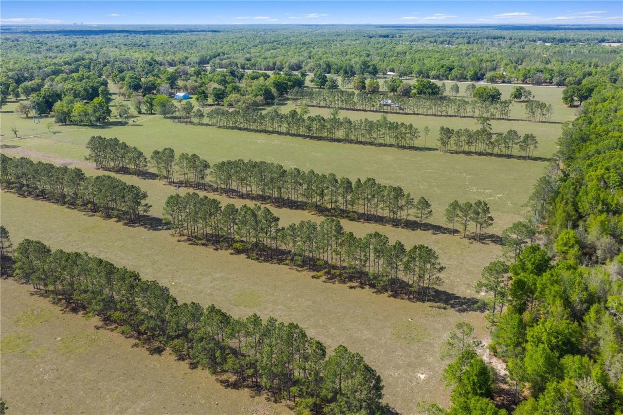 4639 SW Wilson Springs Road, Fort White, FL 32038 Photo