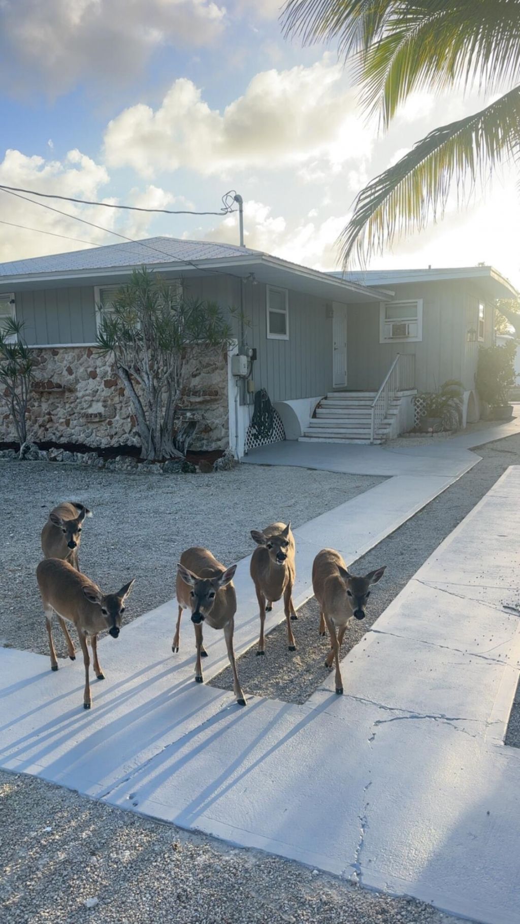 1540 Lantana Lane, Big Pine Key, FL 33043 Photo