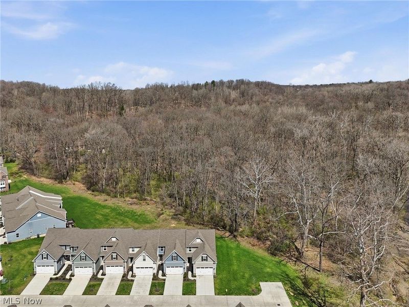 1581 Mud Brook Court, Akron, OH 44313 Photo 29