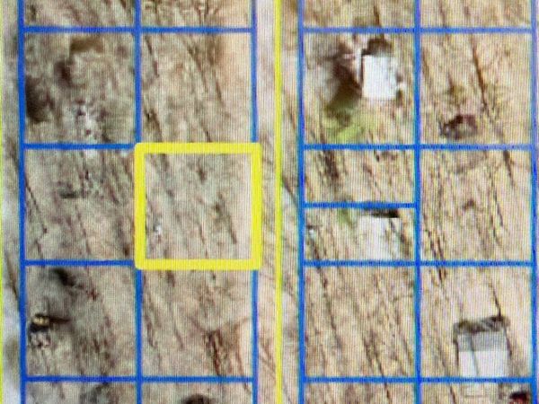 lot 30 Blue Jay Lane , Carbondale, IL 62902