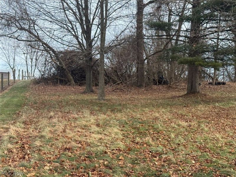 10875 Dolphin Street SW, Beach City, OH 44608 Photo 6